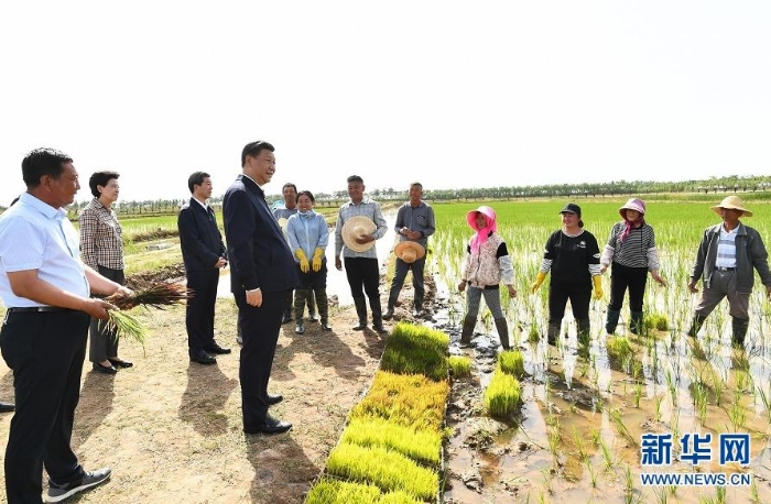 6月8日至10日，中共中央总书记、国家主席、中央军委主席习近平在宁夏考察。这是6月9日下午，习近平在银川市贺兰县稻渔空间乡村生态观光园，同正在劳作的村民亲切交谈。 新华社记者 谢环驰 摄