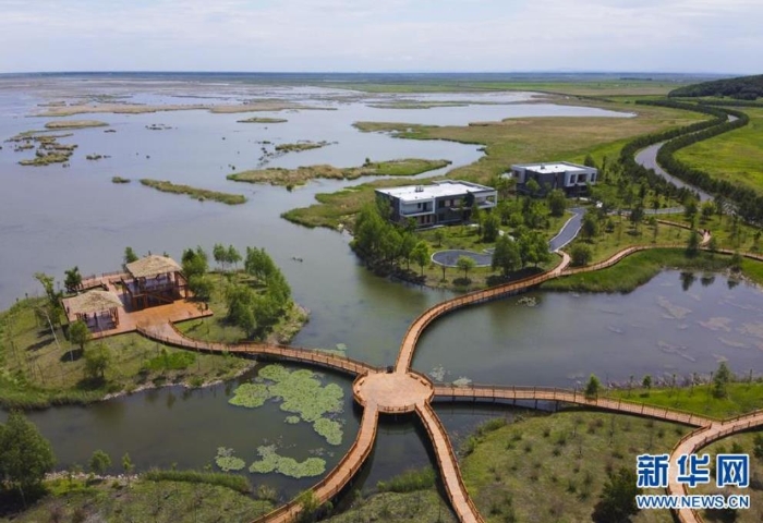 这是6月12日拍摄的富锦国家湿地公园(无人机照片)。新华社发(张涛 摄) 这是6月12日拍摄的富锦国家湿地公园(无人机照片)。新华社发(张涛 摄)