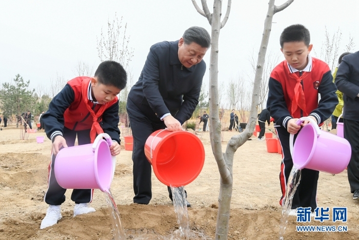 习近平在参加首都义务植树活动