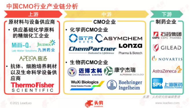 中国CMO行业产业链分析