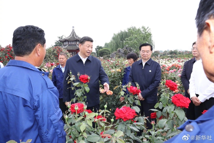 习近平在河南南阳考察调研