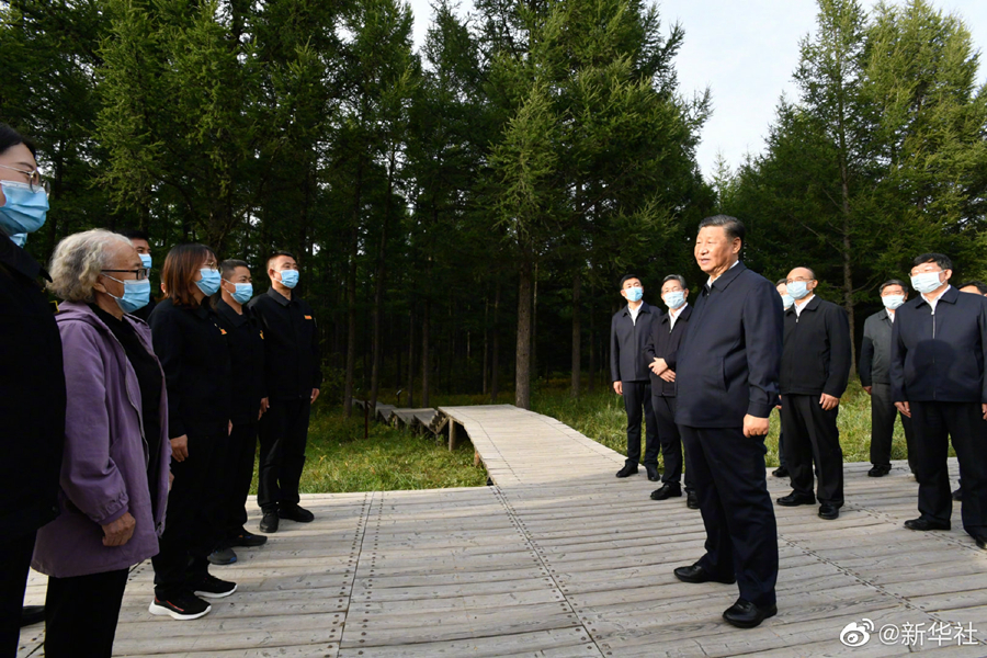 习近平在塞罕坝机械林场考察调研