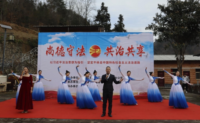 图为演出现场。