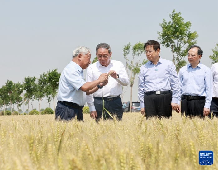 5月22日至23日，中共中央政治局常委、国务院总理李强在河南调研。这是5月23日，李强在新乡市平原示范区高标准农田调研。新华社记者 王晔 摄