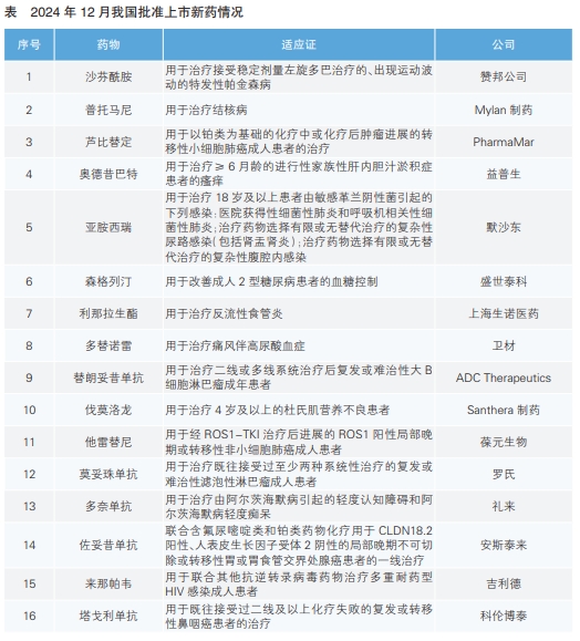 表  2024年12月我国批准上市新药情况